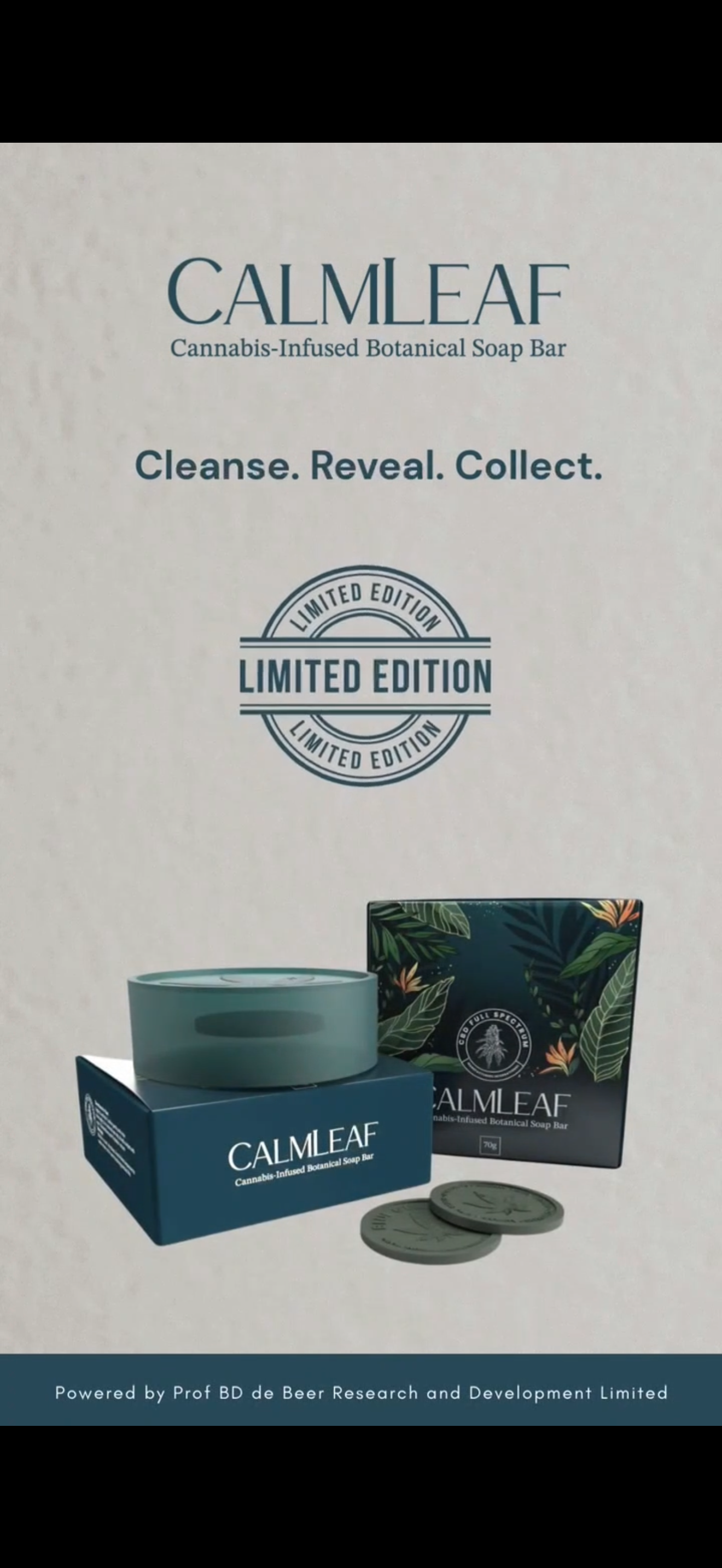 Calmleaf